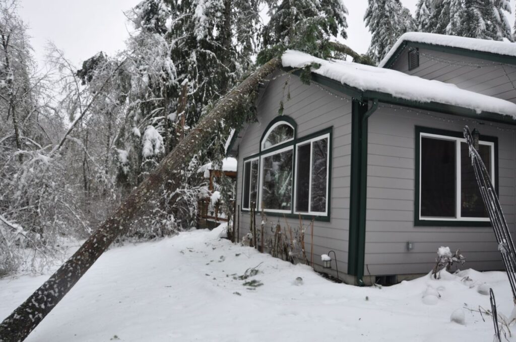 does homeowners insurance cover roof leaks tree falling on top of house after snow storm